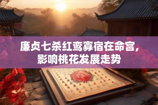 廉贞七杀红鸾寡宿在命宫,影响桃花发展走势