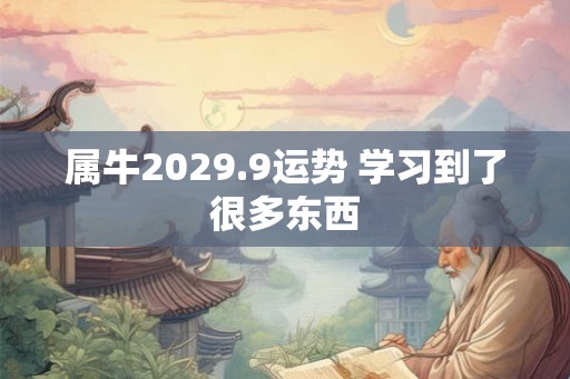 属牛2029.9运势 学习到了很多东西