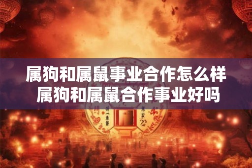 属狗和属鼠事业合作怎么样 属狗和属鼠合作事业好吗