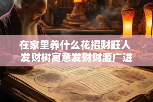 在家里养什么花招财旺人 发财树寓意发财财源广进