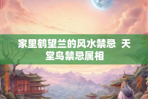 家里鹤望兰的风水禁忌 天堂鸟禁忌属相 家里鹤望兰的风水禁忌 天堂鸟禁忌属相