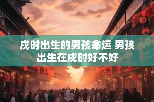 戌时出生的男孩命运 男孩出生在戌时好不好