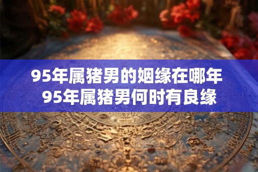 95年属猪男的姻缘在哪年 95年属猪男何时有良缘