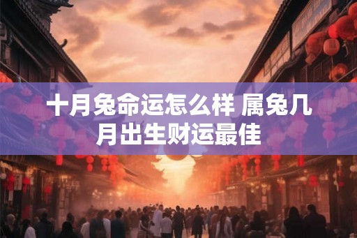十月兔命运怎么样 属兔几月出生财运最佳