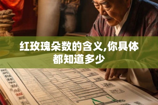 红玫瑰朵数的含义,你具体都知道多少