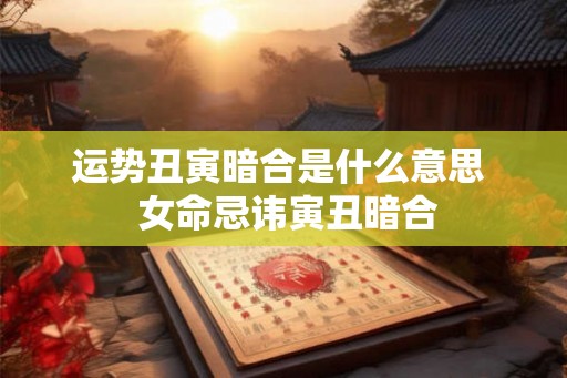 运势丑寅暗合是什么意思  女命忌讳寅丑暗合
