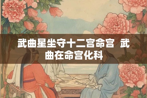 武曲星坐守十二宫命宫  武曲在命宫化科