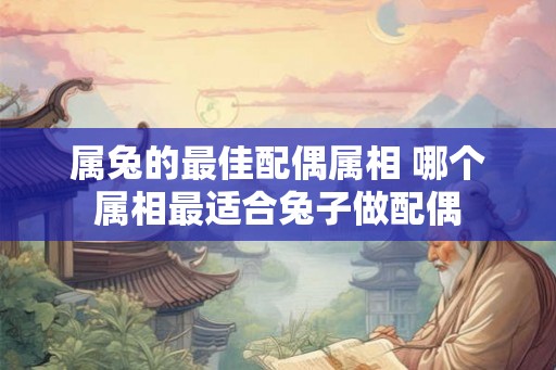 属兔的最佳配偶属相 哪个属相最适合兔子做配偶