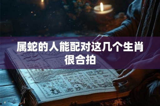 属蛇的人能配对这几个生肖很合拍