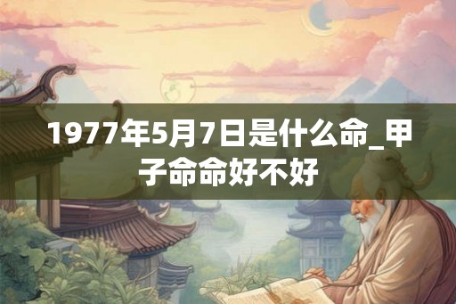 1977年5月7日是什么命_甲子命命好不好