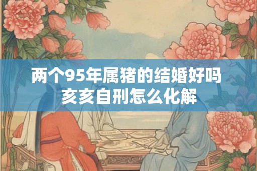 两个95年属猪的结婚好吗 亥亥自刑怎么化解