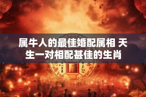 属牛人的最佳婚配属相 天生一对相配甚佳的生肖