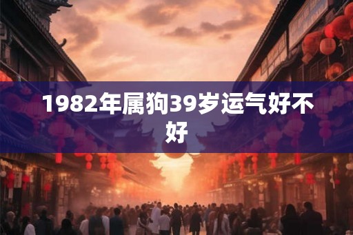 1982年属狗39岁运气好不好 1982年属狗39岁运气好不好