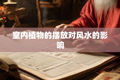 室内植物的摆放对风水的影响