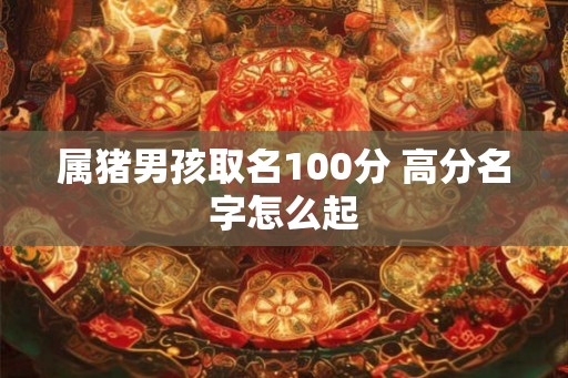 属猪男孩取名100分 高分名字怎么起