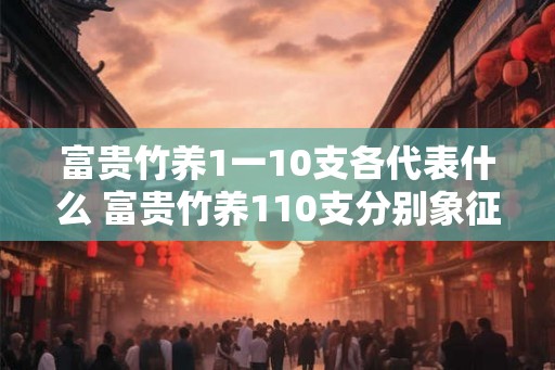 富贵竹养1一10支各代表什么 富贵竹养110支分别象征什么