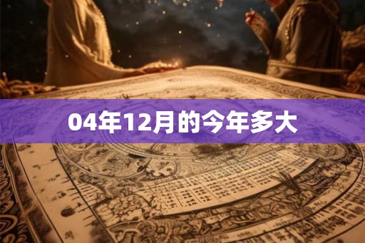 04年12月的今年多大