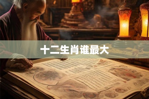 十二生肖谁最大