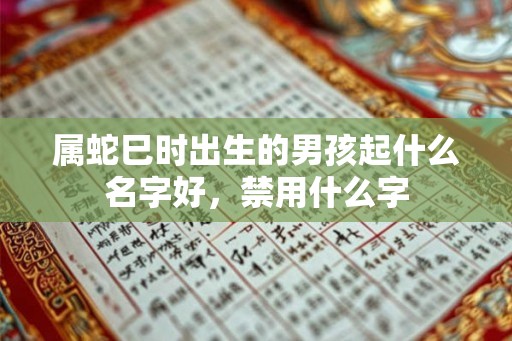 属蛇巳时出生的男孩起什么名字好，禁用什么字