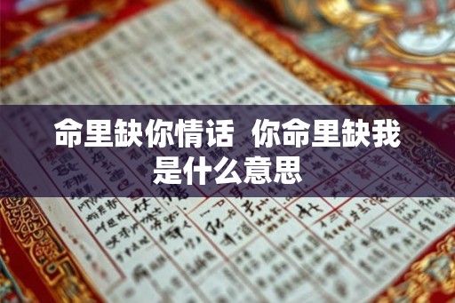 命里缺你情话  你命里缺我是什么意思
