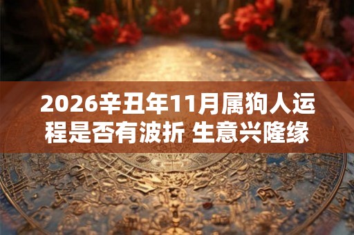 2026辛丑年11月属狗人运程是否有波折 生意兴隆缘分未到