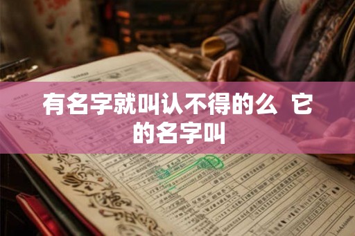 有名字就叫认不得的么  它的名字叫