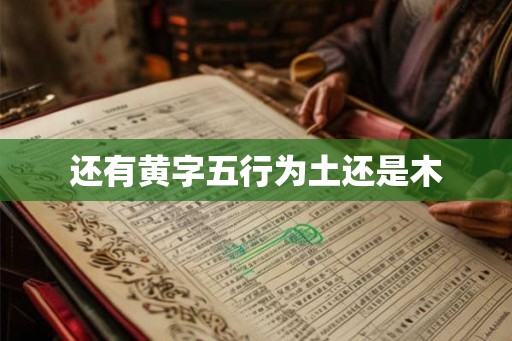 还有黄字五行为土还是木