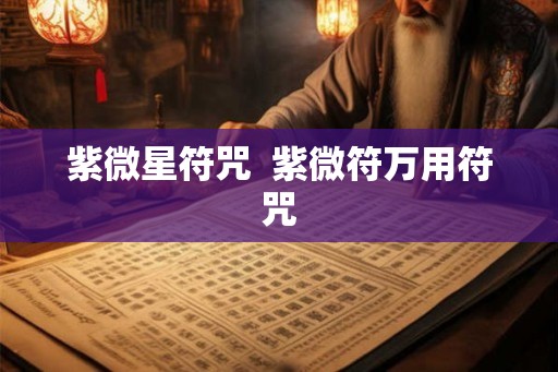 紫微星符咒  紫微符万用符咒
