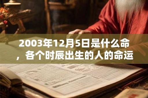 2003年12月5日是什么命,各个时辰出生的人的命运 2003年12月5日是什么命,各个时辰出生的人的命运
