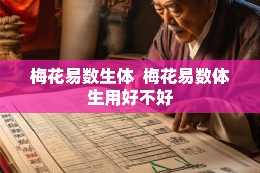 梅花易数生体 梅花易数体生用好不好 梅花易数生体 梅花易数体生用好不好