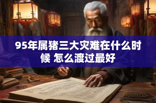95年属猪三大灾难在什么时候 怎么渡过最好