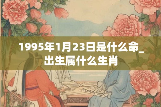 1995年1月23日是什么命_出生属什么生肖