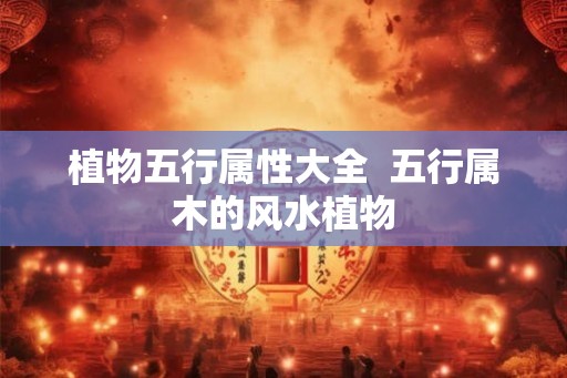 植物五行属性大全  五行属木的风水植物