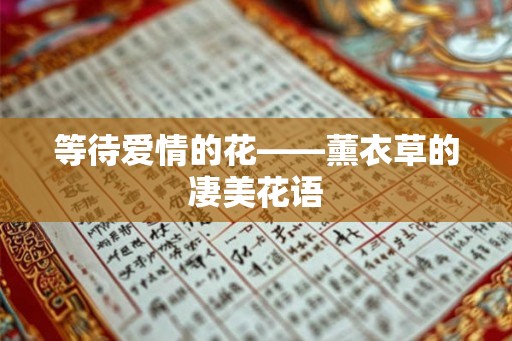 等待爱情的花——薰衣草的凄美花语
