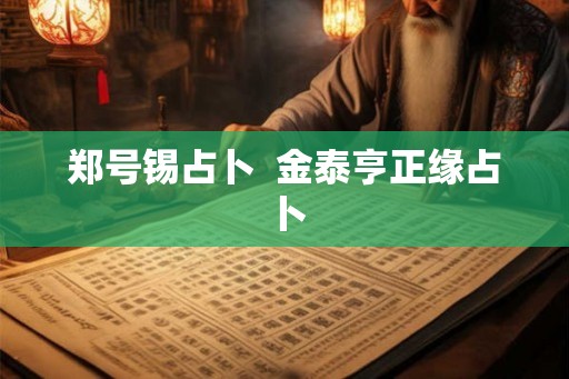 郑号锡占卜  金泰亨正缘占卜