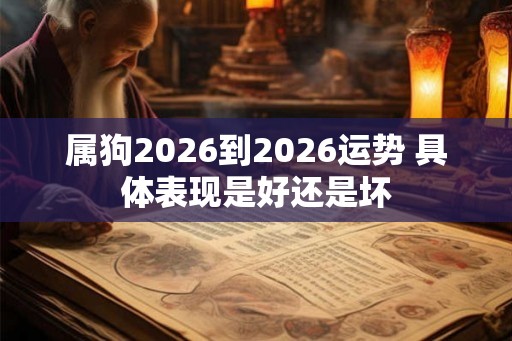 属狗2026到2026运势 具体表现是好还是坏
