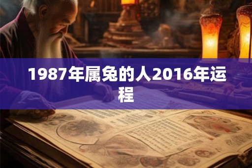 1987年属兔的人2016年运程