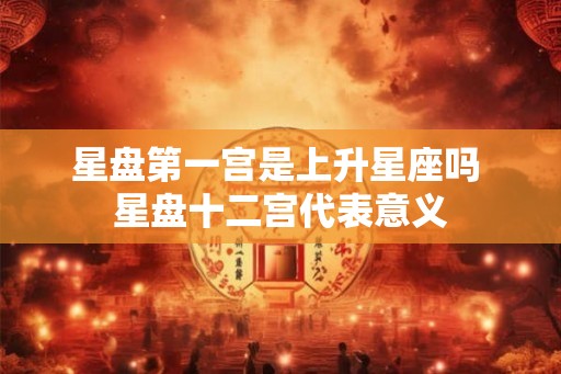 星盘第一宫是上升星座吗 星盘十二宫代表意义
