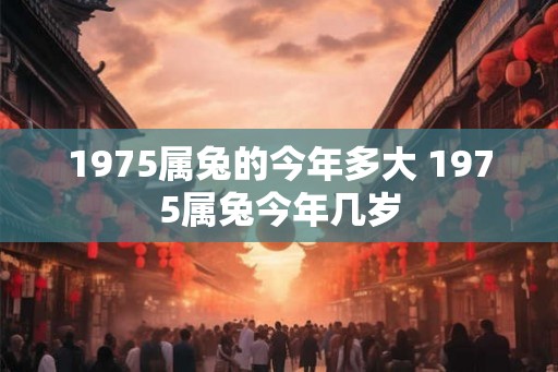 1975属兔的今年多大 1975属兔今年几岁