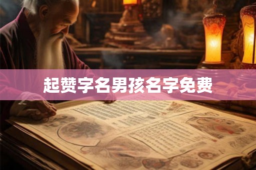 起赞字名男孩名字免费