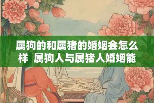 属狗的和属猪的婚姻会怎么样 属狗人与属猪人婚姻能幸福吗 属狗的和属猪的婚姻会怎么样 属狗人与属猪人婚姻能幸福吗