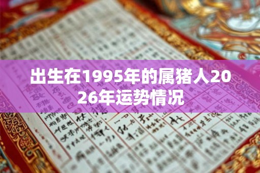 出生在1995年的属猪人2026年运势情况