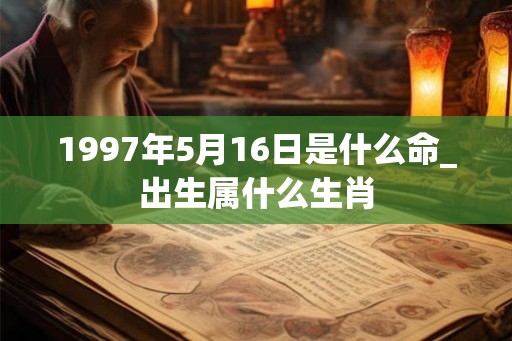 1997年5月16日是什么命_出生属什么生肖