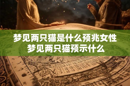 梦见两只猫是什么预兆女性 梦见两只猫预示什么