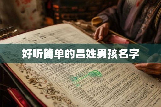好听简单的吕姓男孩名字 好听简单的吕姓男孩名字