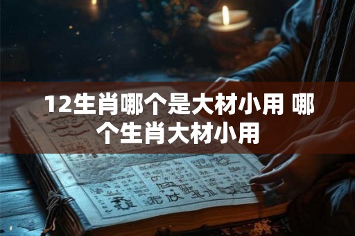 12生肖哪个是大材小用 哪个生肖大材小用
