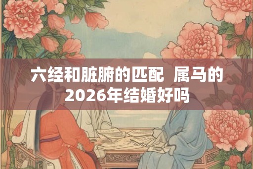 六经和脏腑的匹配  属马的2026年结婚好吗