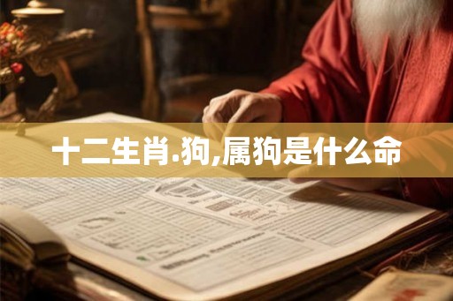 十二生肖.狗,属狗是什么命