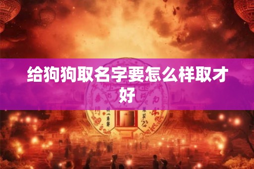 给狗狗取名字要怎么样取才好