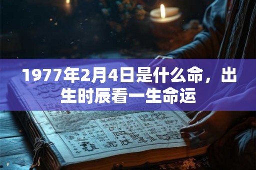 1977年2月4日是什么命，出生时辰看一生命运